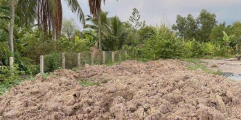 Ngân hàng định giá 740tr _ giá bán 780tr . Đất thổ 4,5m*36m . Mặt tiền đường đan