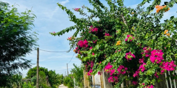 : Bán lỗ lô góc 175m2 ngang 7m chỉ 5xx gần dốc Bồ Bồ thương lượng mạnh