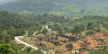 chủ ngộp cần ra gấp vườn 5ha Lộc Nam 2 mặt tiền có suối, sẵn sầu riêng, bơ