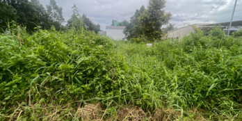 Bán đất mặt tiền QL61 Châu Thành