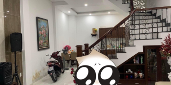 Nhà diện tích hiếm ngang 5m q7