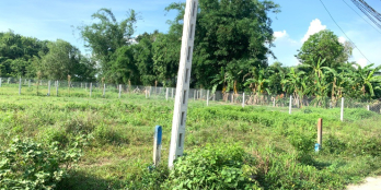 Đất Gò Dầu Gần KCN cho mọi người đầu tư sinh lời