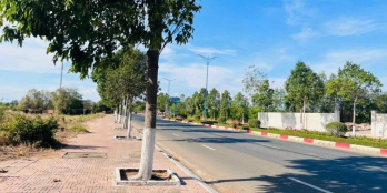 Đất Mặt tiền kinh doanh đường 36m Võ Thị Sáu THị Trấn Đất Đỏ Ngang 8m