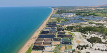 Bán gấp lô đất mặt tiền biển, cơ hội tuyệt vời để sở hữu một mảnh đất mơ ước bên