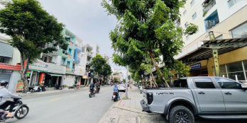 Mặt tiền Vườn Lài Tân Phú 250 8x32 55 tỷ vuông vức dòng tiền