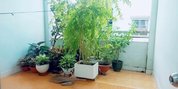 3 tầng -3PN sổ vuông hoàn công đầy đủ ngang hơn 4M