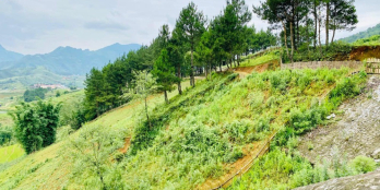 ĐẤT NỀN Y TÝ – SAPA ,PHÁP LÝ RÕ RÀNG VIEW SIÊU ĐẸP,GIÁ ĐẦU TƯ