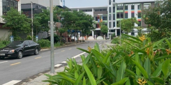 SIÊU HIẾM ĐẤT NHÌN RA VƯỜN ĐÀO PHÚC LỘC. GIÁ CẮT LỖ