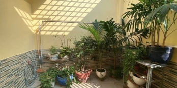 Hẻm nhựa 8m Bàu Cát 45m 4.5x10 3T3PN 6 tỷ vuông vức công nhận đủ