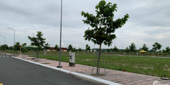 Bán Đất Mặt Tiền Trục Thương Mại Giá 1,55 Tỷ Tại Bàu Bàng