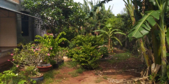 Cần bán lô đất 8,58m mặt tiền cách đường Ven biển, biển Phước Hải 6km.