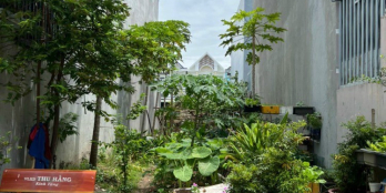 Bán đất SHR mặt tiền đường nhựa  Trịnh Thị Miếng, Xã Thới Tam Thôn, Hóc Môn