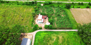 Kẹt tiền cần bán lô đất 5x25m giá 680tr ở Ấp rộc B, Thạnh Đức, Gò Dầu