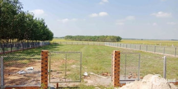 BÁN LÔ ĐẤT ĐẸP GẦN KCN PHƯỚC ĐÔNG 385m² GIÁ 810 TRIỆU CÒN THƯƠNG LƯỢNG