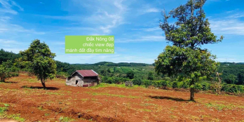 Bán miếng đất đẹp sẵn sổ, sẵn cây trồng, đường nhựa 335 triệu, quy hoạch thổ cư