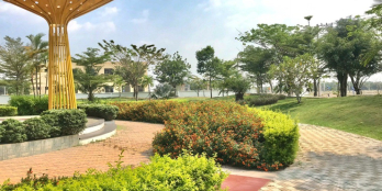 Chỉ 480 triệu sở hửu liền tay nền ngay tuyến đường sắc của tỉnh ?