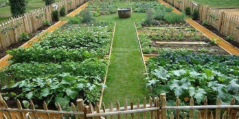 người dân cần bán lô đất vườn view suối diện tích 1900m2 giá 490tr/1000m2