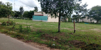 Kẹt tiền nên tôi cần bán gấp 2 sổ đất 300m2 nằm sau chợ lớn