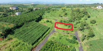 Cần bán gấp lô đất  hẻm 76 Nguyễn An Ninh, Đambri, Bảo Lộc, cách trung tâm chỉ 3