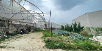 Chính Chủ Gửi Lô Đất Đường Hồ Xuân Hương Đà Lạt - 6.8 Tỷ