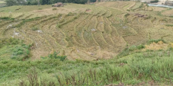 Cần bán mảnh đất trục chính đường vào bản Tả Van