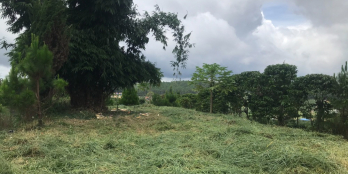 Bán Gấp Lô Đất Xây Dựng View Thung Lũng Tà Nung Đà Lạt