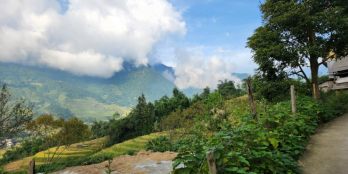 Bán mảnh đất view ruộng bậc thang cực đẹp ở Tả Van