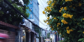 Nhỉnh 3 tỷ Nhà đẹp Đặng Văn Bi _Trường Thọ _2tag_2pn vib