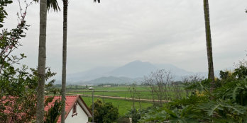 Đất nghỉ dưỡng view Sông Đà, núi Ba Vì, cánh đồng, lô góc 618m2 full thổ cư