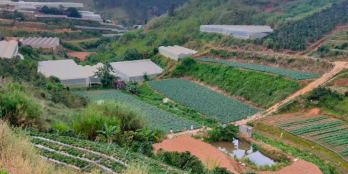 Đất xã Xuân Thọ, Thành phố Đà Lạt-Lâm Đồng.