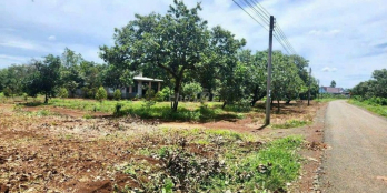 TÔI CHÍNH CHỦ,BÁN GẤP 3500m2 ĐẤT SỔ HỒNG RIÊNG BÌNH PHƯỚC,GẦN TRƯỜNGHỌC 290trieu