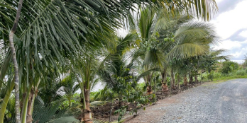 đất thổ cư bến lức long an mặt tiền sông vàm cỏ 170m2 giá 1 tỷ