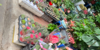 Vô cùng hiếm, mặt phố Hoàng Hoa Thám, KD sầm uất , 2 làn Oto ,DT : 40m2, 8.5 tỷ