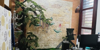 Phố Vĩnh Phúc, Ba Đình, Nhà phân lô cán bộ Toà Án, Oto vào nhà, KD , DT : 48m2