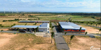 3900m2 đất đang trồng nho và dưa. Điện nước đầy đủ, 3 mặt tiền, view biển, QH TC