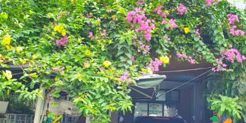 NHÀ PHỐ 2 LẦU VIEW CÔNG VIÊN full NỘI THẤT KHU LAVILA, NHÀ BÈ