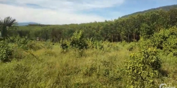 Bán hơn 20.000 m2 đất vườn giáp suối Khánh Vĩnh - Giá rẻ