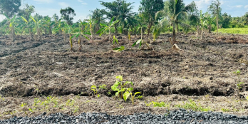 Siêu phẩm 1000m2 đất mặt tiền view sông Vàm Cỏ Đông ngang 19m , nở hậu 20m