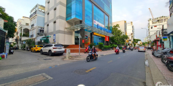 Nhà 47m2 (4 x 11), Mai Thị Lựu, Đa Kao, Quận 1. 9,4 tỷ