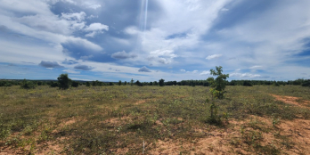 650TR/5,4sào, vị trí đẹp, đường sỏi lớn và điện nước gần đến đất.