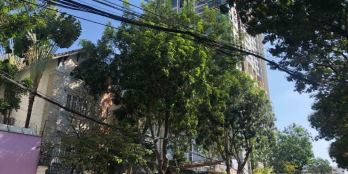 Bán biệt thự mt đường Nguyễn Văn Hưởng, Thảo Điền. Dt 533m2. Lh 0903652452