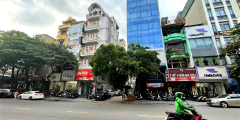 Mặt phố Giang Văn Minh. Vị trí đẹp, Cực Hiếm, KDoanh đa dạng. Dt 60m, 5tầng, 32ỷ