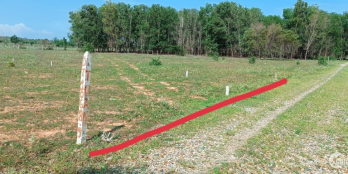 Cần bán 1067m2 đất CLN quy hoạch TMDV gần sân bay thiện nghiệp Phan Thiết Bình T