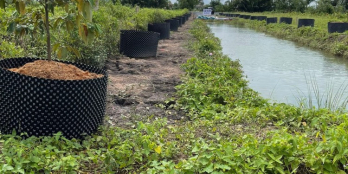 1000m2 đất view kênh xanh xanh , đã san lấp , có đào thêm ao nuôi cá cực đẹp