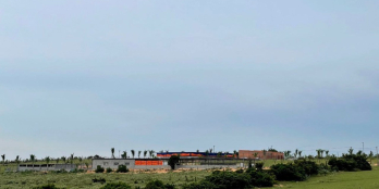 Chủ ngộp cần Sang nhượng Trang trại Ven biển Cổ Thạch 2.9T | 7,439.8M2