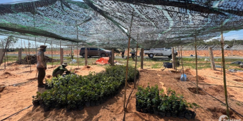 Cần bán 6,931m2 đất trang trại, view biển 100%