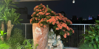 Viila khu Compund, chú trọng chất lượng sống. Thiết kế khoa học, nội thất đẹp