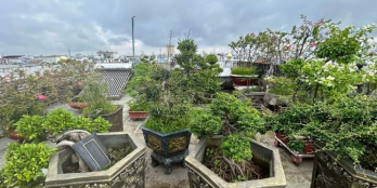 BÁN BIỆT THỰ 4 TẦNG 170M2 ( 9 x 19) - CHỈ 14,9 TỶ - TÂN HÒA ĐÔNG, BÌNH TÂN