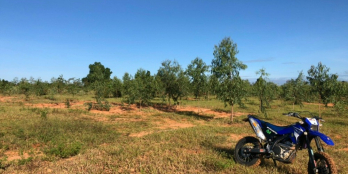 Cần bán gấp 1,7ha đất Hòa Thắng, ngay đường liên huyện, giá 80k còn thương lượng