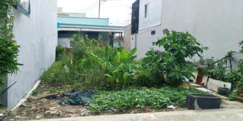 Chính chủ bán đất thổ cư 100m2, nằm ngay chợ An Bình, sổ riêng 699tr